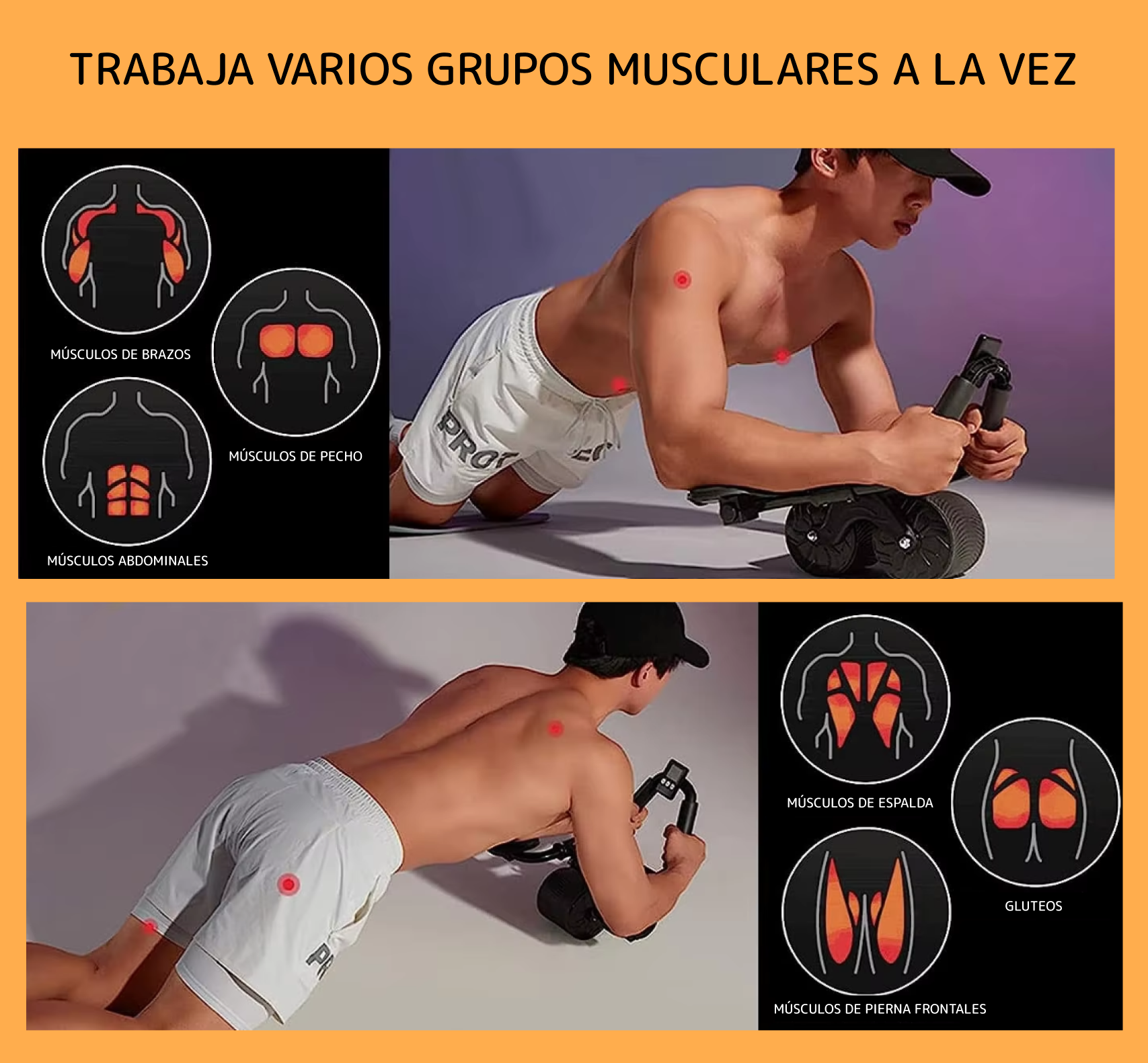 COMBO FITNESS RUEDA ABDOMINAL + BANDAS ELASTICAS DE COLORES